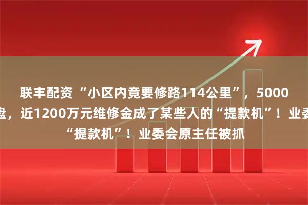 联丰配资 “小区内竟要修路114公里”,5000多户的超级大盘,近1200万元维修金成了某些人的“提款机”!业委会原主任被抓