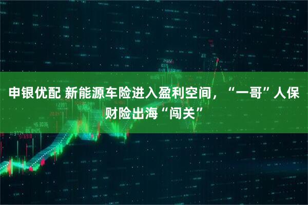 申银优配 新能源车险进入盈利空间，“一哥”人保财险出海“闯关”