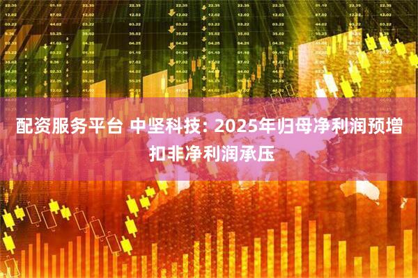 配资服务平台 中坚科技: 2025年归母净利润预增 扣非净利润承压