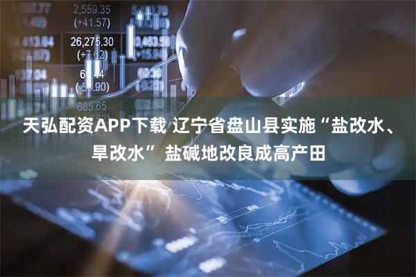 天弘配资APP下载 辽宁省盘山县实施“盐改水、旱改水” 盐碱地改良成高产田