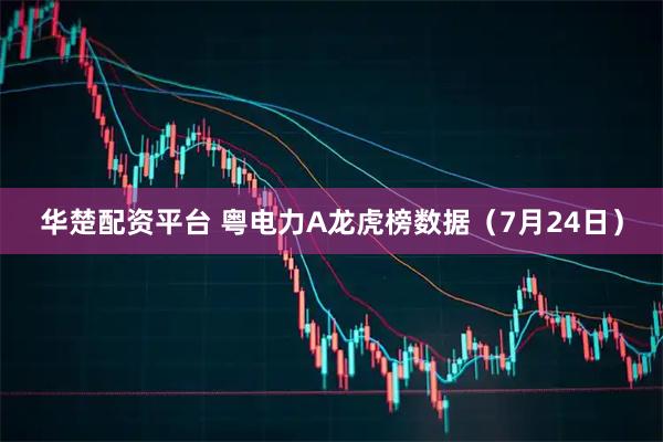 华楚配资平台 粤电力A龙虎榜数据（7月24日）